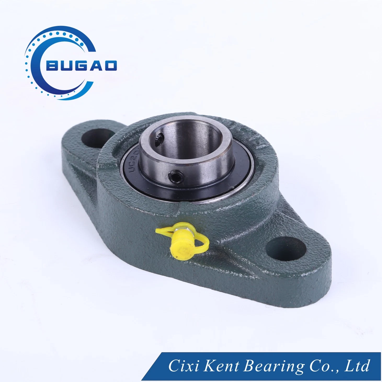 Industrial Machinery Parts/Pillow Block Bearing UCP207 with Bearing Housing