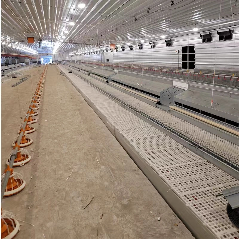 Low Price Custom Automatic Feeding Line Farming Equipment Poultry Facilities