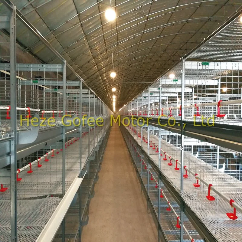 Hot DIP Galvanized H Type Poultry Broiler Layer Automatic Feeding and Water Close House Chicken Cage