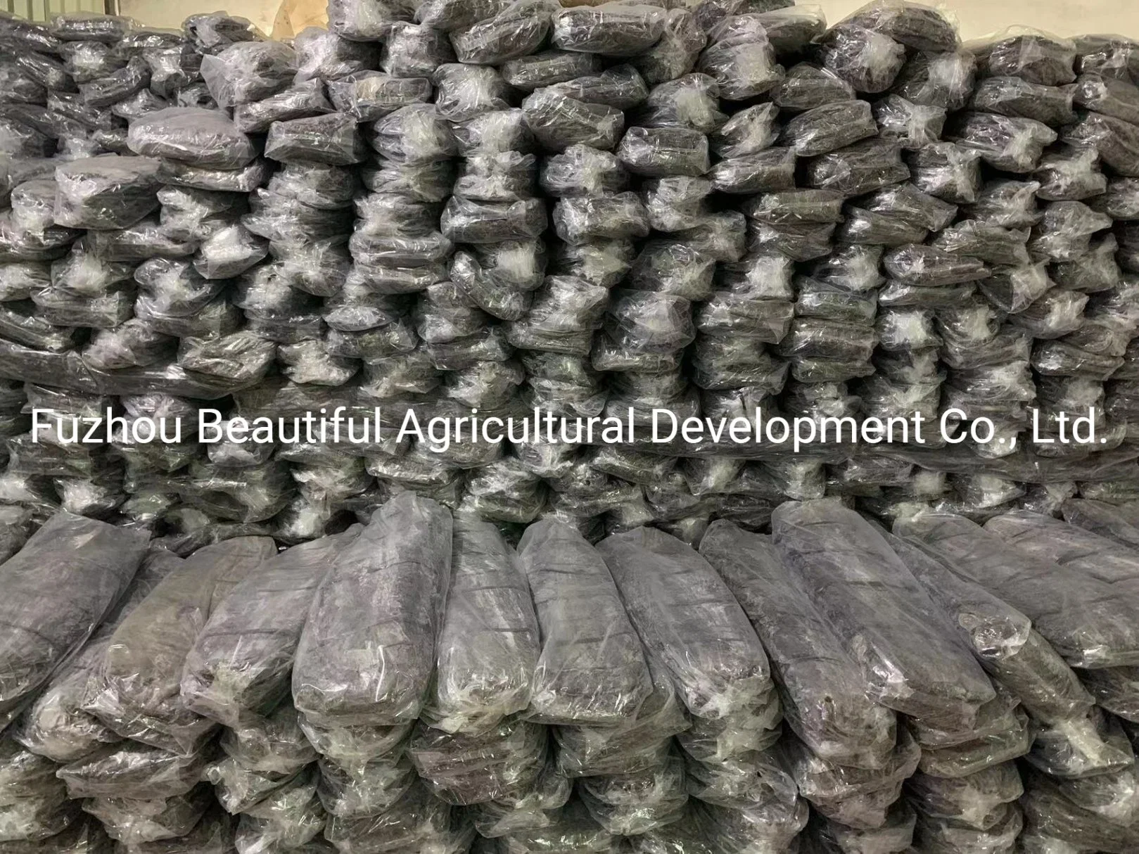 Dried Laminaria Thallus Factory Sales