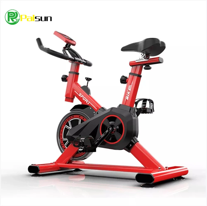 Household Ultra-Quiet Magnetic Control Fitness Spinning Bike Family-Specific Exercise Bike Sports Weight Loss Indoor Bicycle