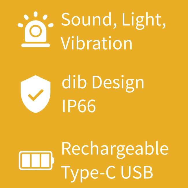 Tragbarer Gasdetektor Tragbarer Gassensor Mit Diffusor, Leckage Alarm