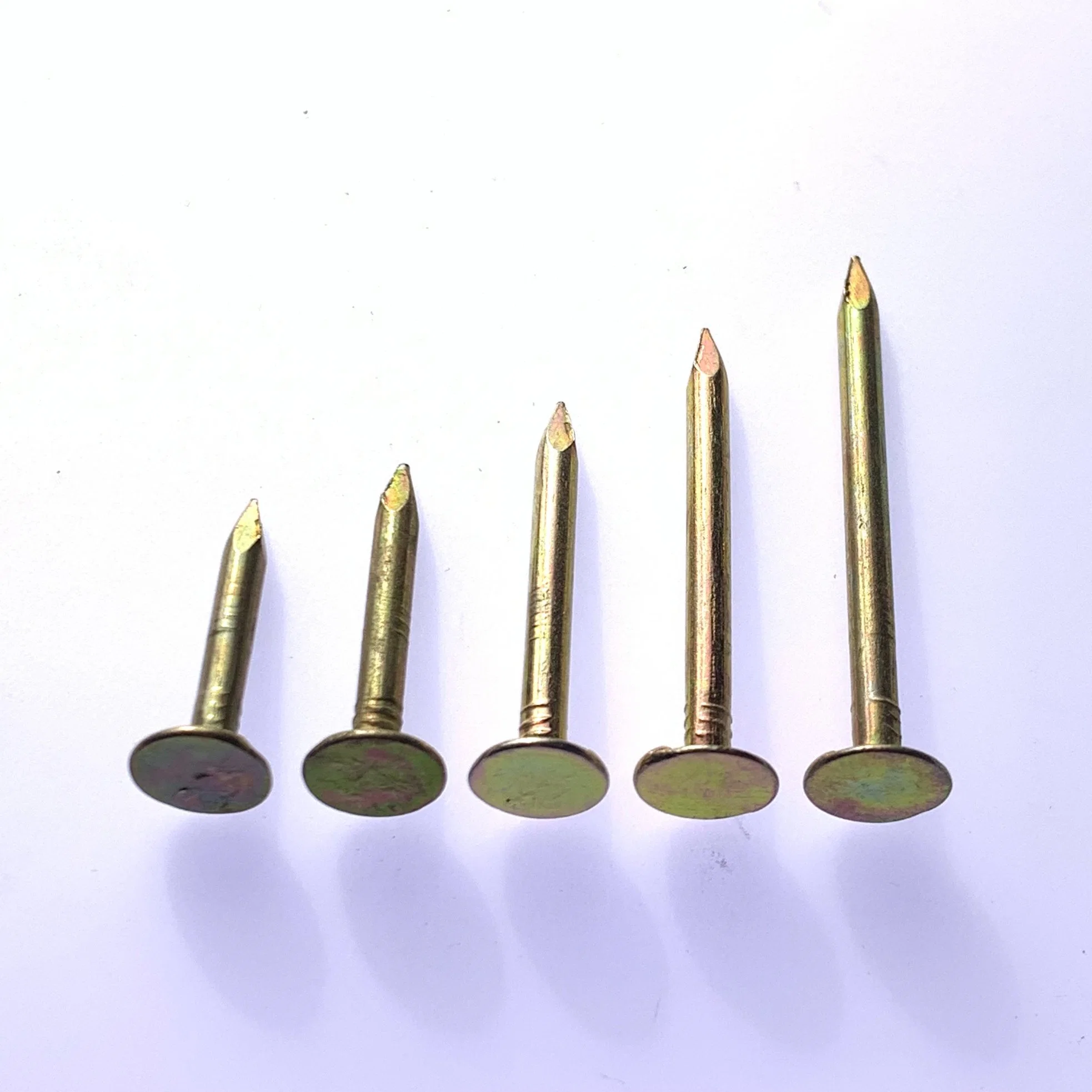 Free Samples15-Degree Round Head Wire Weld Collated Smooth Shank Electro Galvanized Coil Roofing Nails