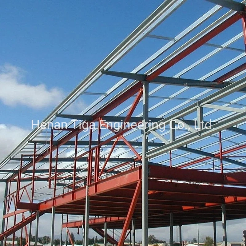 Galvanized Frame Poultry Farm Business Plan in Maharashtra Sheep Shed