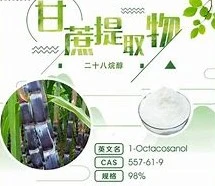 Qualidade boa e preço competitivo do extrato natural de cana-de-açúcar Octacosanol Pó