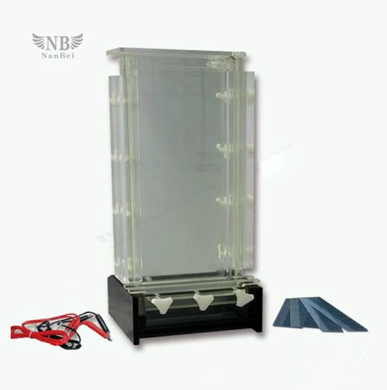 High quality/High cost performance  DNA Testing Electrophoresis Apparatus