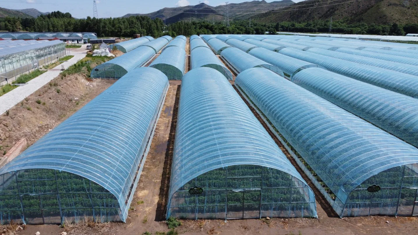 Perfect Commercial Manufacture Best Made Greenhouse Plastic Film