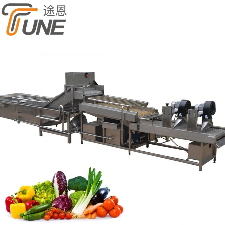 Amplia gama de frutas y verduras de la aplicación de secado Lavado de la línea de producción