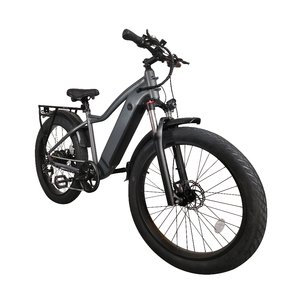 26inch Electric MTB with 48V 750W Strong Power 16ah Battery Built-in Battery