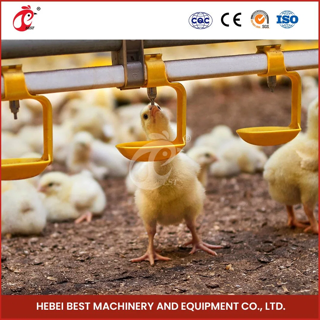 Bestchickencage Broiler profunda del sistema personalizado de la camada de ODM China Nuevo Material PP profunda la cría de la Camada la fabricación del sistema