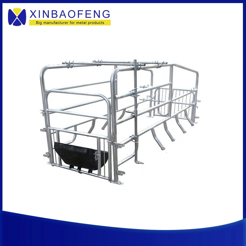 Factory Price Farrowing Crates Adjustable Pig Stall Pig Farming Equipment