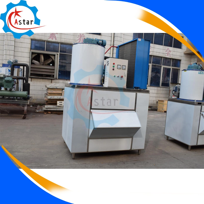 Daily Output 0.3ton-50ton Commercial Use Industrial Flake Ice Machine for Sale