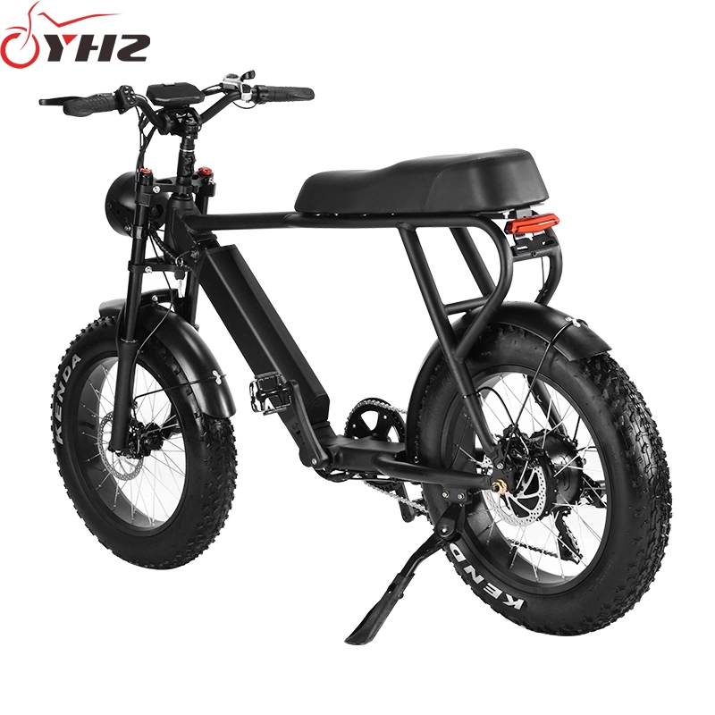 750W Adult Electric Bike USA Warehouse Spot DDP Shipment with 20-Inch Tire