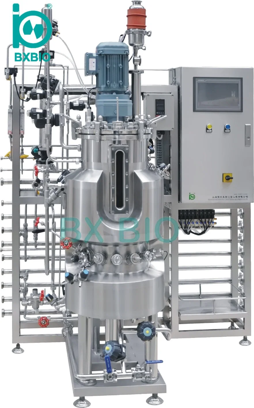 Bxbio High-Quality 10L~1000L GMP Mammal /Mammalian Cell Culture Fermenter Bioreactor for Pharmaceutical and Food