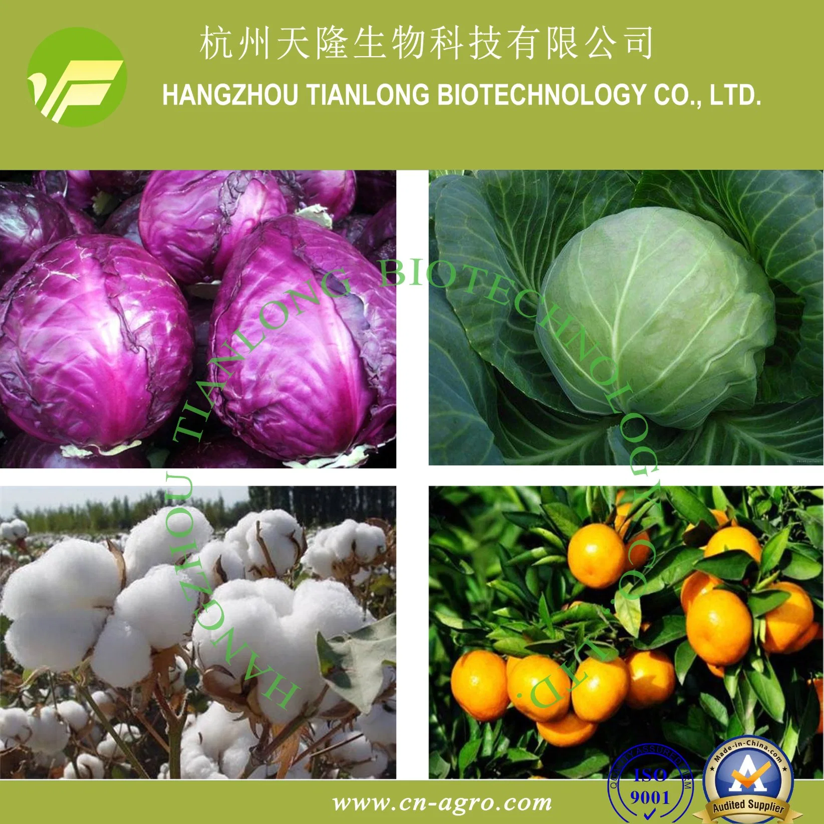 Plant Growth Regulator  Gibberellic Acid 20%SP, 40%SP