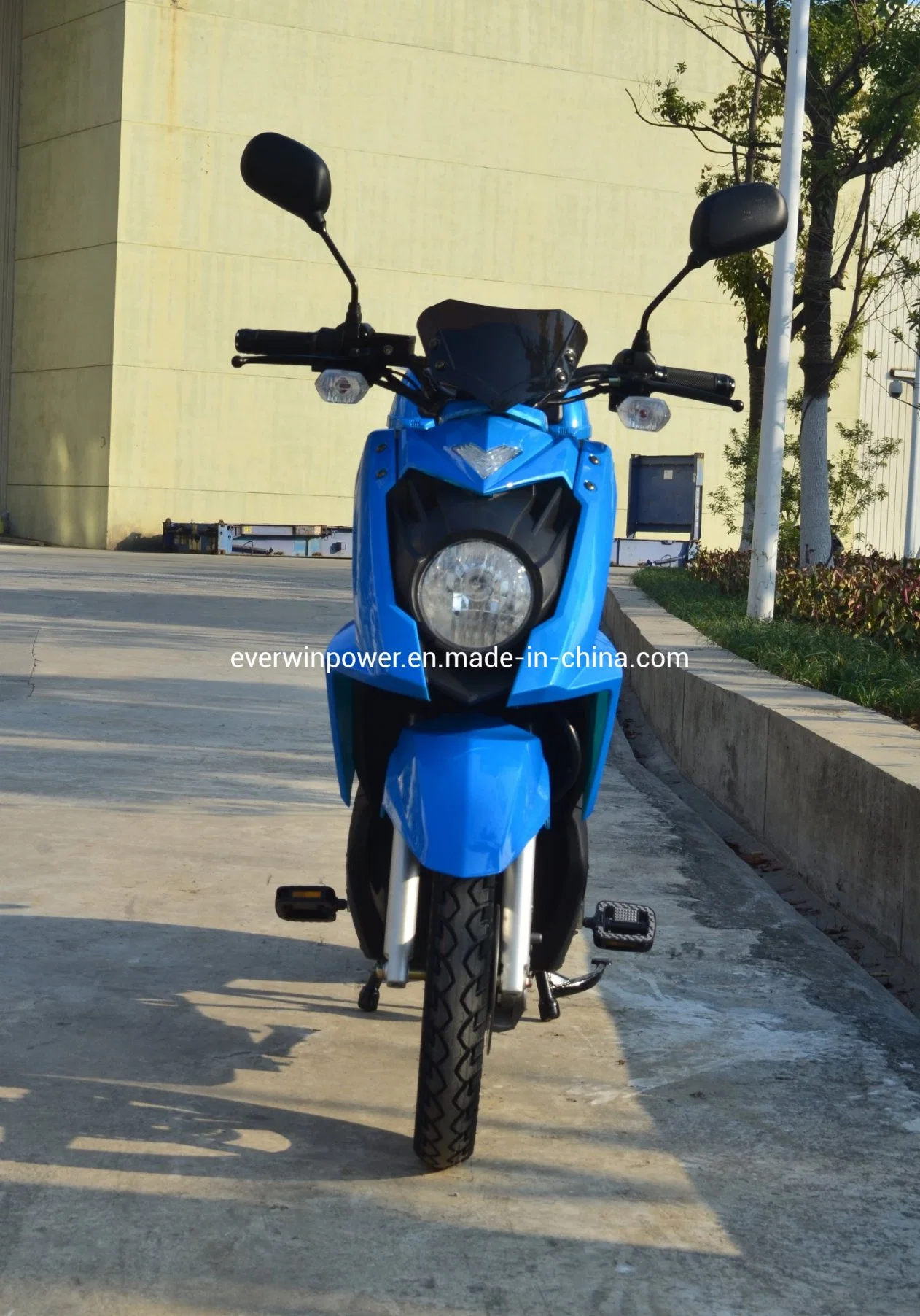 Electric Bike with Pedal with CE EEC (L1e-A) for Europe Market