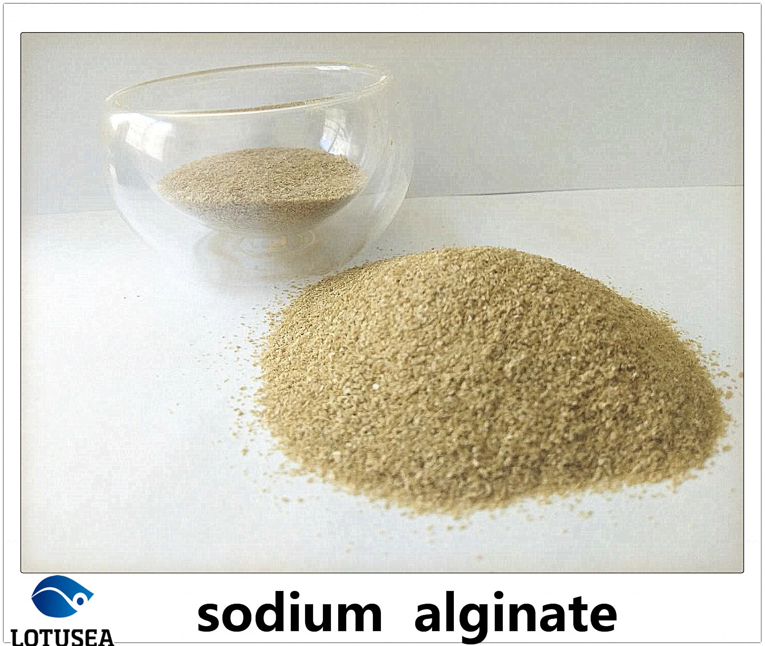 Industrial Sodium Alginate for Textile Use 150 Mesh 3% 500cps