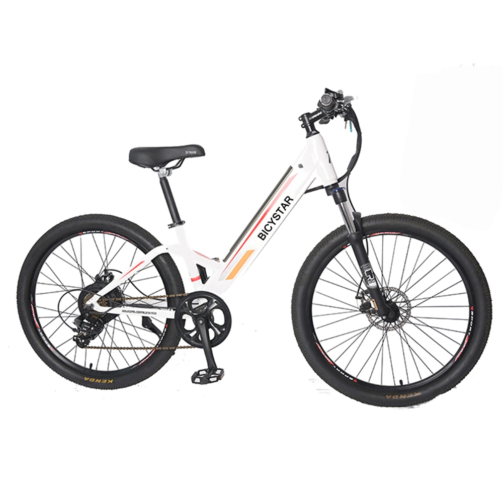 China CE Design 60V Cheap Carbon 27.5 MTB Electric Bicycle