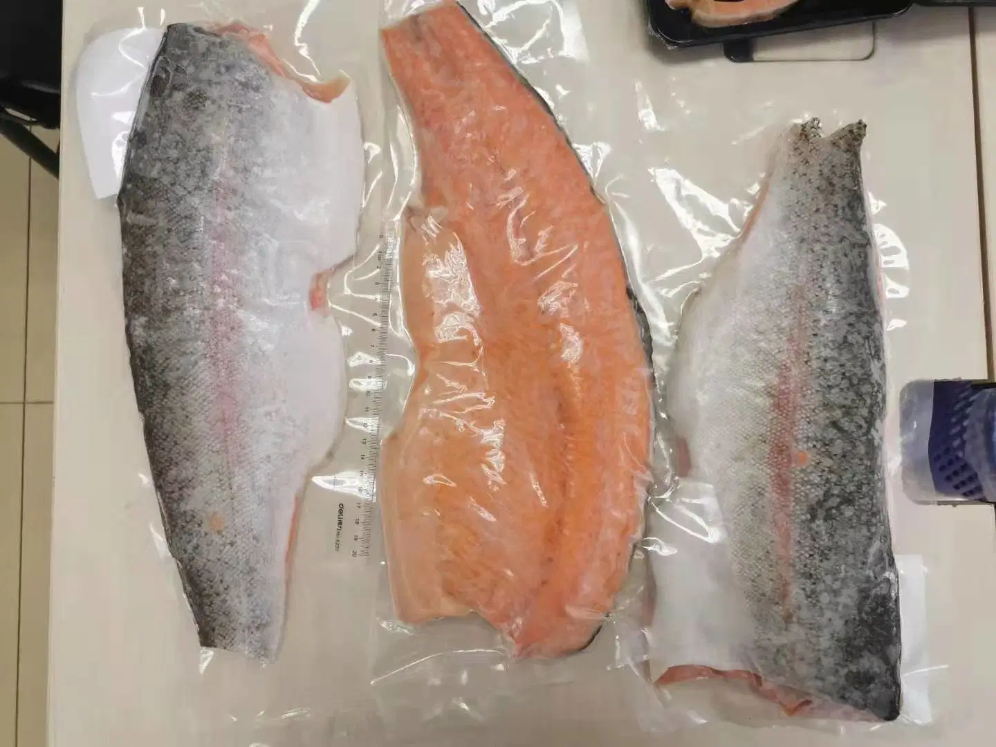 Frozen China Trout Salmon Fillet