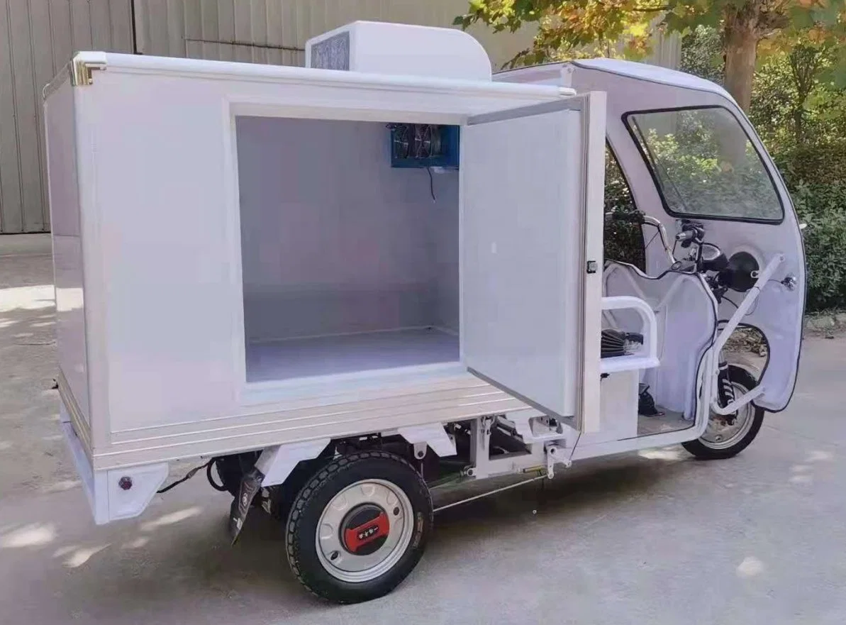 Mejor nevera Mini triciclo eléctrico eléctrico Carretilla elevadora con la caja de carga