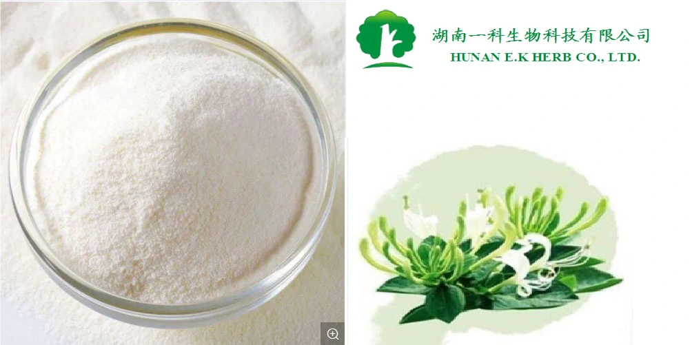 E. K Yerba Buena calidad de la medicina herbaria china Japonicae Flos Lonicerae Extracto de Madreselva CAS 327-97-9 ácido clorogénico 5%-98% de extracto de Eucommia Ulmoides HPLC.