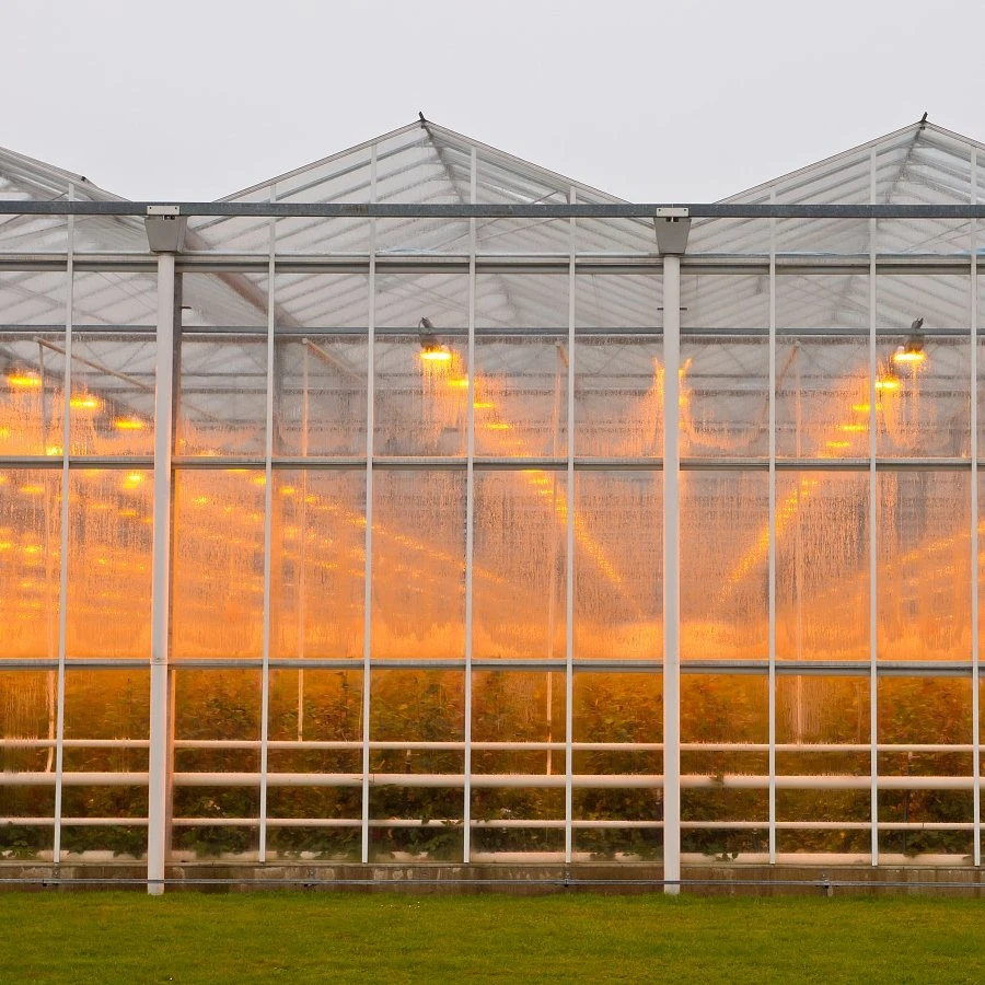 Venlo Type Glass Greenhouse for Vegetables Growing with Modern Design