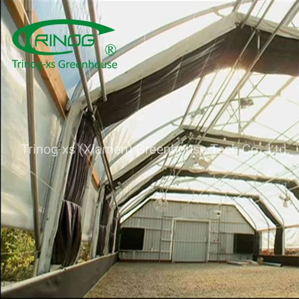 Trinog Greenhouse commercial used LED light deprivation medial plant greenhouses for medical industrial