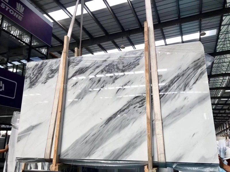 Marble Tile/Slab for Kitchen/Bathroom Flooring/Floor/Wall Tile Grey/White Marble for Sale