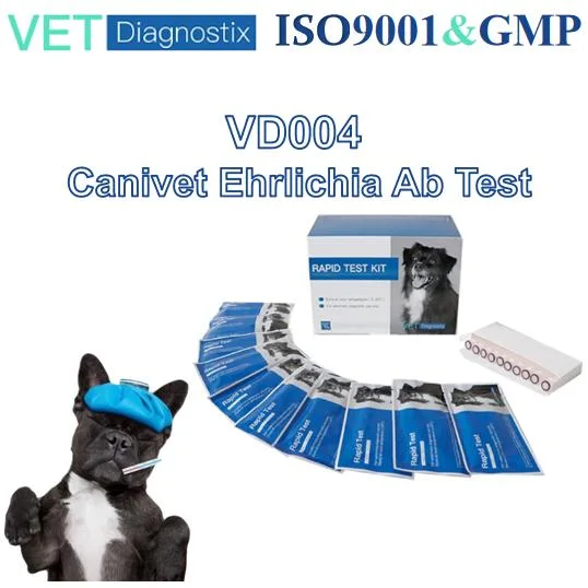 Kit de Ab Ehr Anticuerpo de la Ehrlichia canina Test rápido de prueba de diagnóstico veterinario.
