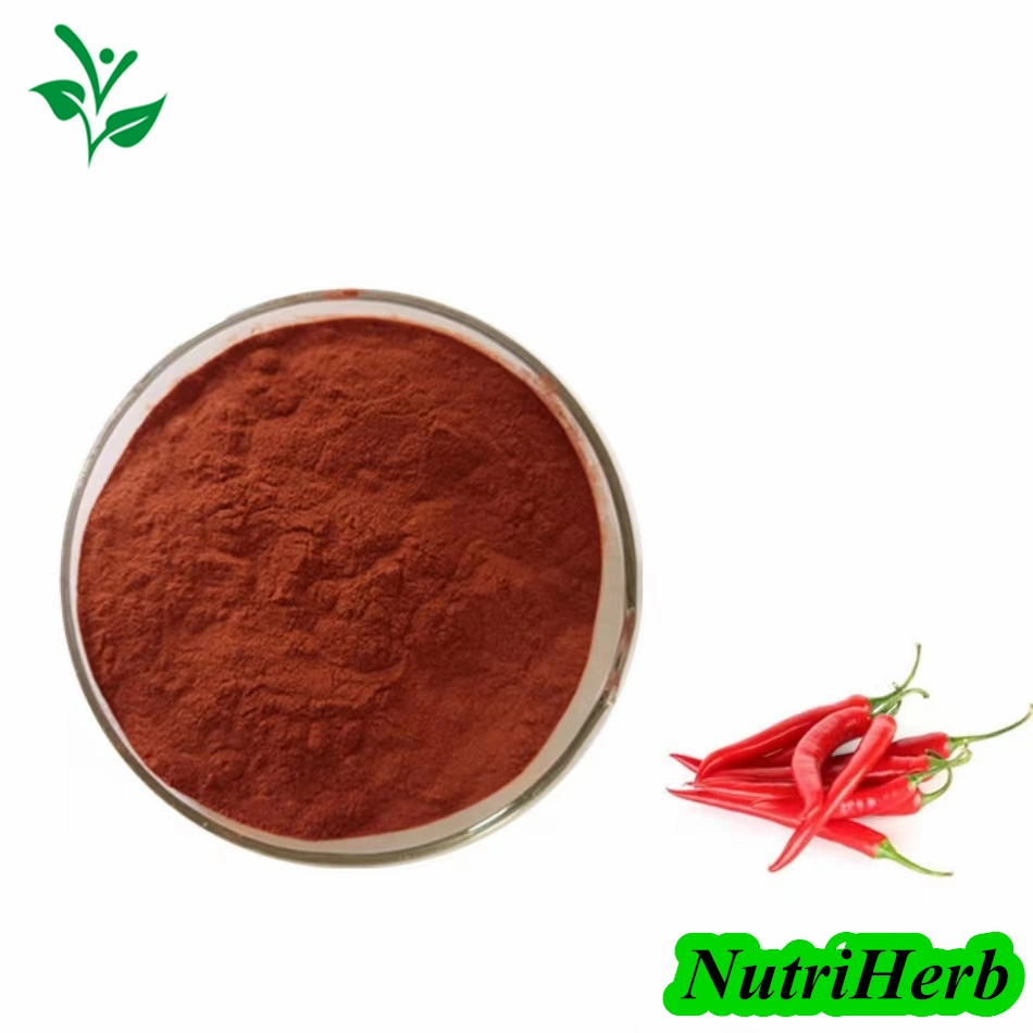 Factory Supply Natural Pigment Paprika Extract Paprika Red Color