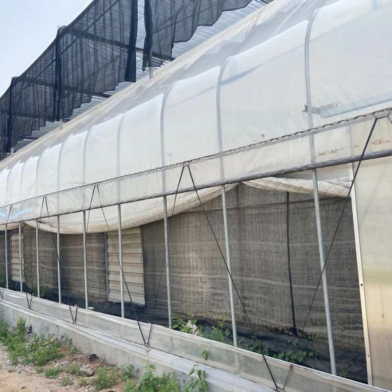 Flores frutas vegetales comerciales sistemas hidropónicos para invernaderos Aeroponics System Multi Span de gases de efecto