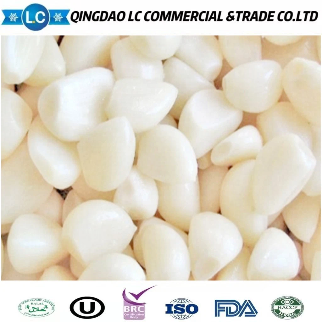 China White Frozen Garlic in 10kg Carton