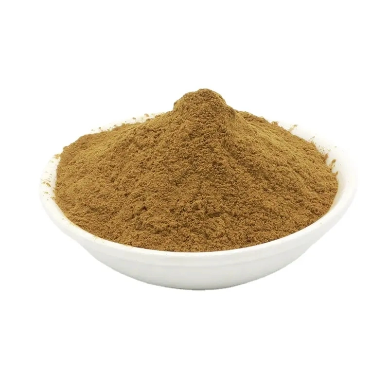 Wholesale Bulk Organic Hericium Erinaceus Extract Powder Lions Mane Mushroom Extract