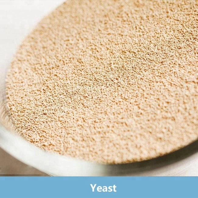 Best Price High/Low Sugar Instant Dry Yeast 450/500g