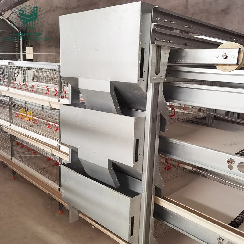 Galvanized Broiler Automatic H Type Chicken Farm Broiler Poultry Cage System