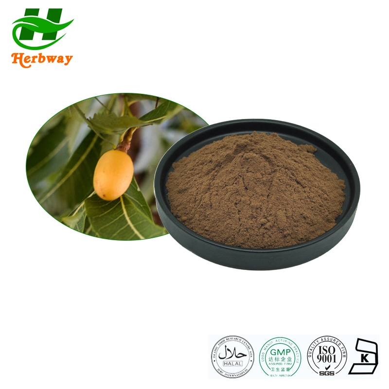 100% Pure Natural Neem Tree Extract Azadirachtin 10% 25% Powder Lower Blood Pressure and Cholesterol.