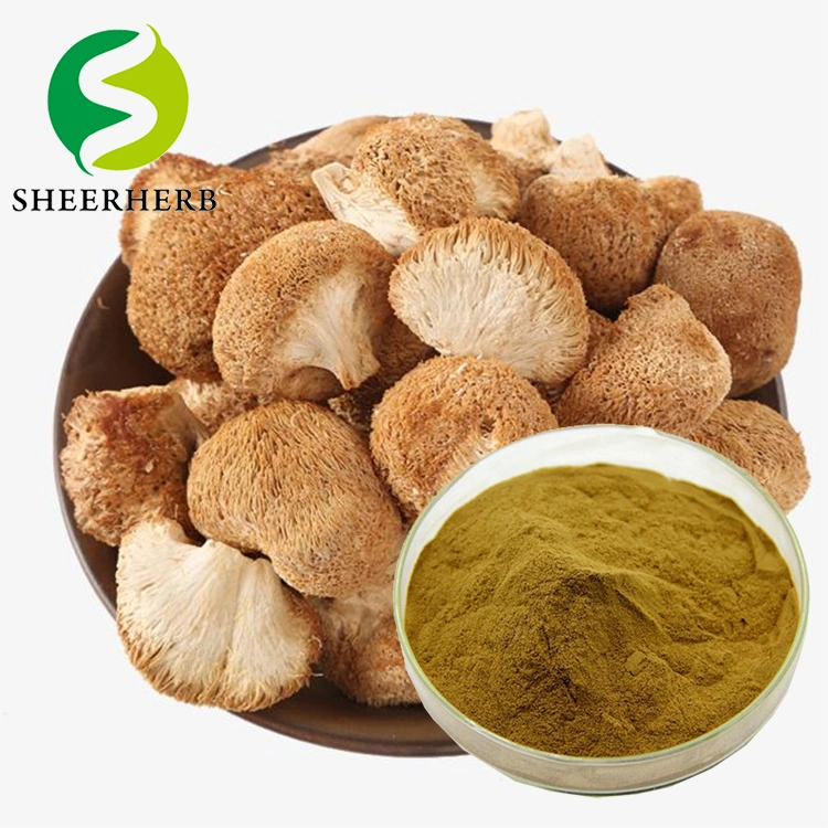 Wholesale/Supplier Price High-Quality Hot-Selling Hericium Erinaceus Extract Anti-Cancer and Blood Pressure Lowering Herbal Medicine