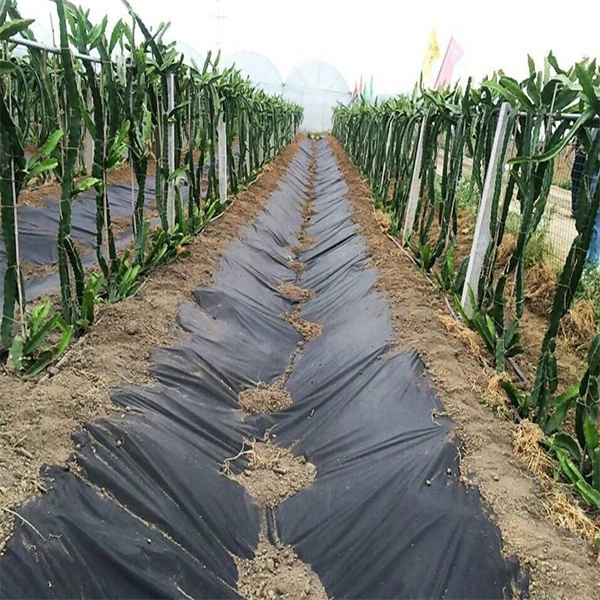 Heavy Duty Fabric Weed Barrier, Garden Fabric Weed Barrier, Black Mulch for Landscaping, High Permeability, Easy Install, Commercial Outdoor Mat