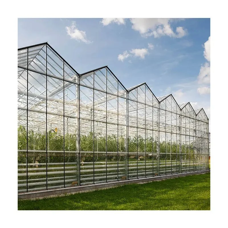 The Glass Greenhouse Factory Sells Well and Is Used for Planting Vegetables and Flowers with High quality/High cost performance 