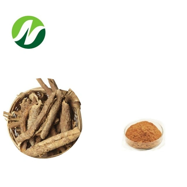 Free Samples 0.4%~0.8% Eleutherosides B+E Siberian Ginseng Eleutherococcus Extract