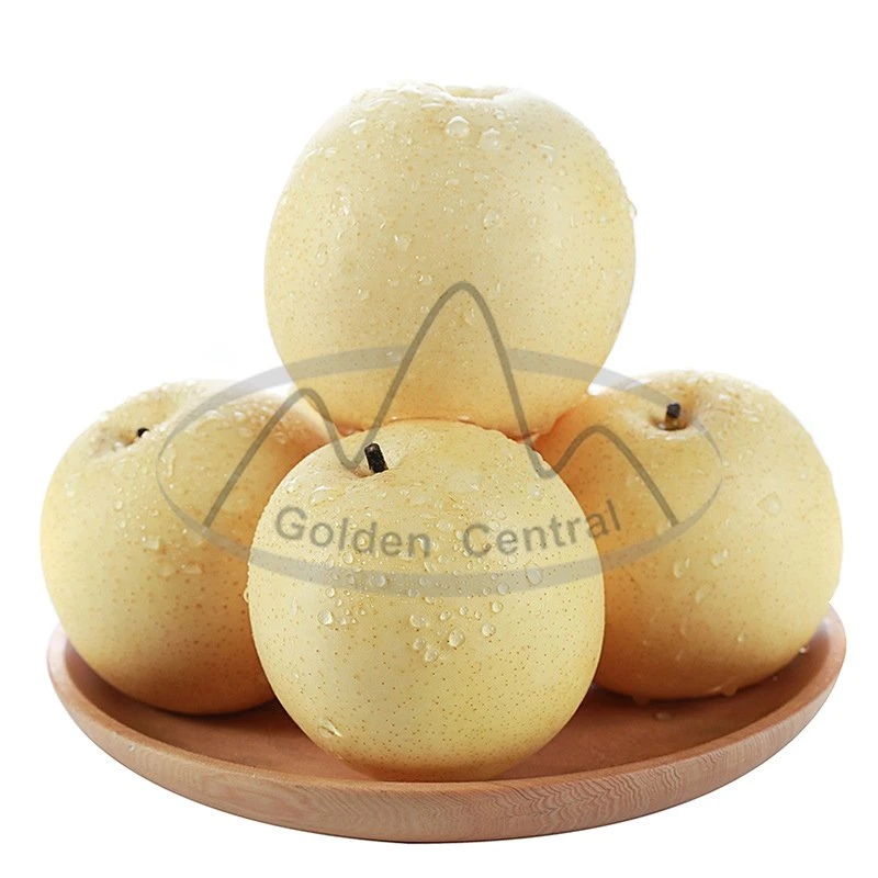 Chinese Sweet Juicy Crown Pear From Shandong