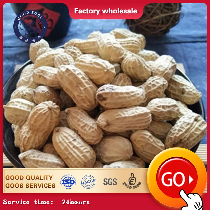 Ex-Factory Price New Crop Nature Garlic Taste Roasted Blanched Peanuts