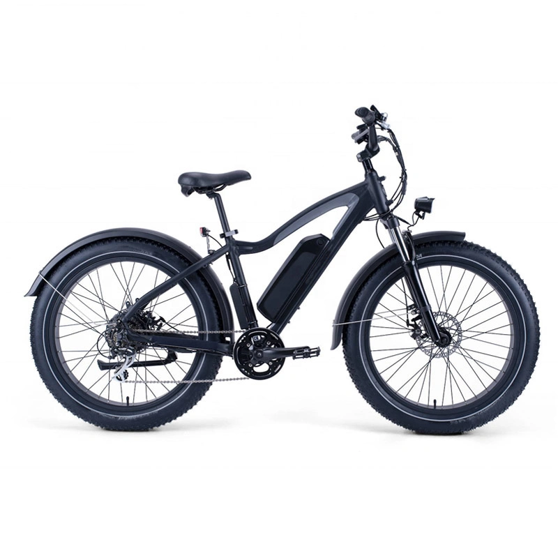 Hot Selling Foldable Adult E-Bike, Two-Wheel Mobility Bike