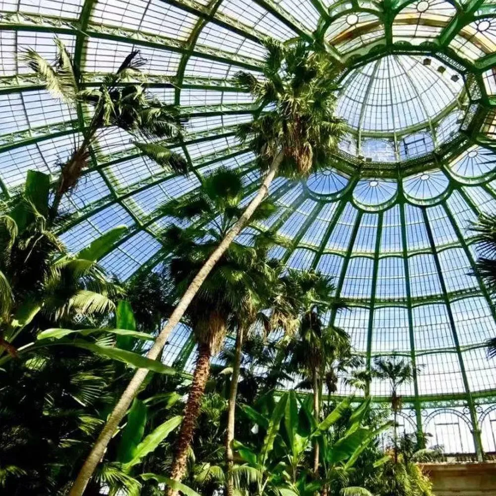 Kunststoff/Glas/Sonnenbrettgewächshaus mit hydroponischer Pflanzung/Aquaponiksystem für Tomaten/Gurken/Pfeffer