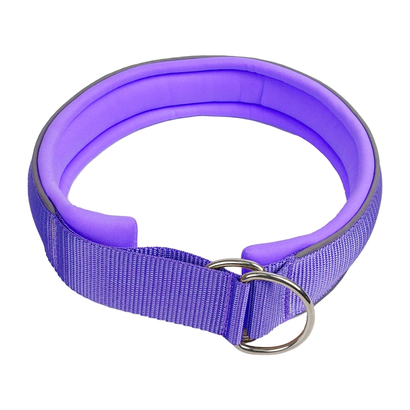 Petisland pas étouffer le collier de PET en gros de produits pour animaux de compagnie Prix d'usine de formation de chien personnalisé Collier Collier pour chien en nylon avec doublure matelassée en néoprène