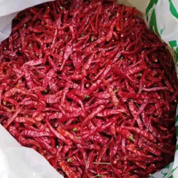 Low Price Chinese Dried High Spicy 819 Chilli