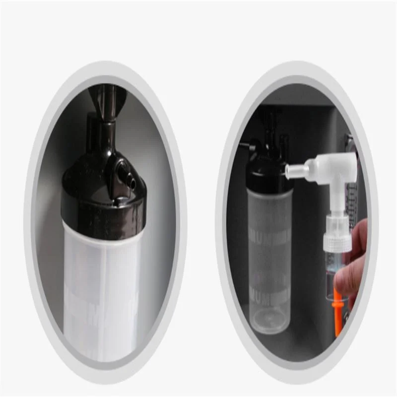 10 Liters Oxygen Concentrator Household Oxygen Inhaler Atomization Standard