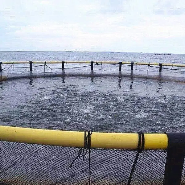 Piscifactoría de Mar profundo sistema de equipos de Agricultura flotante jaula