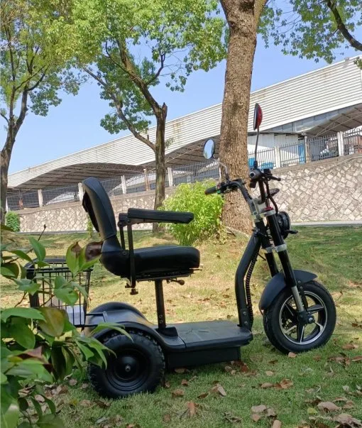 Wholesale/Supplier Price 500W 3 Wheel Electric Mobility Tricycle Scooter