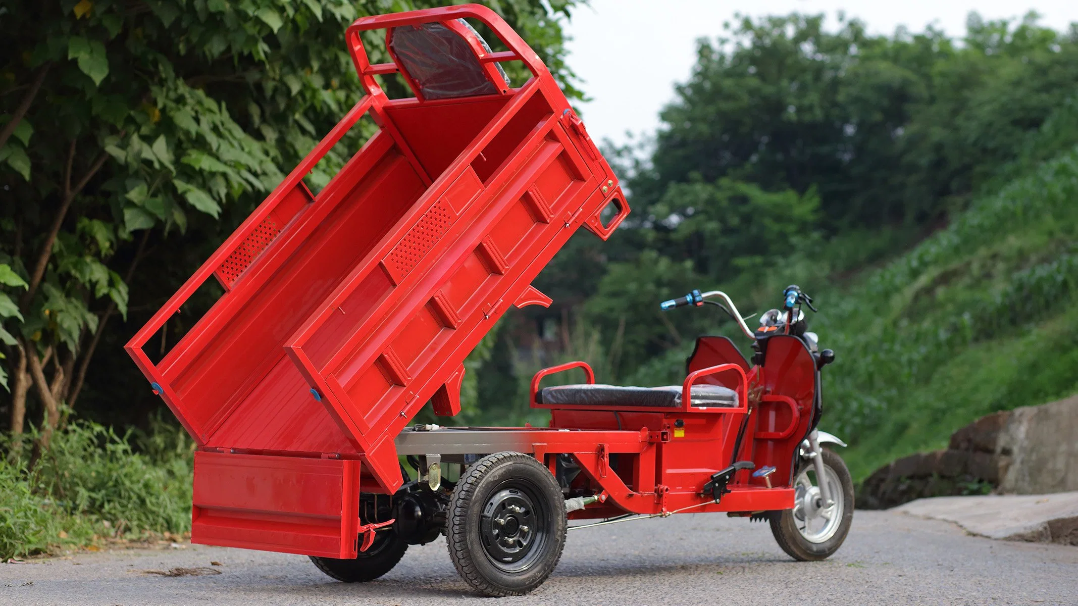 Fuel Cargo Loader Tricycle Auto Rickshaw Passenger Three Wheel Motorcycle